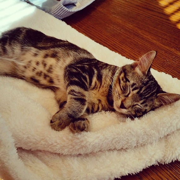 🎉 MEET THE POSHER 🎉 - Picture 5 of 10